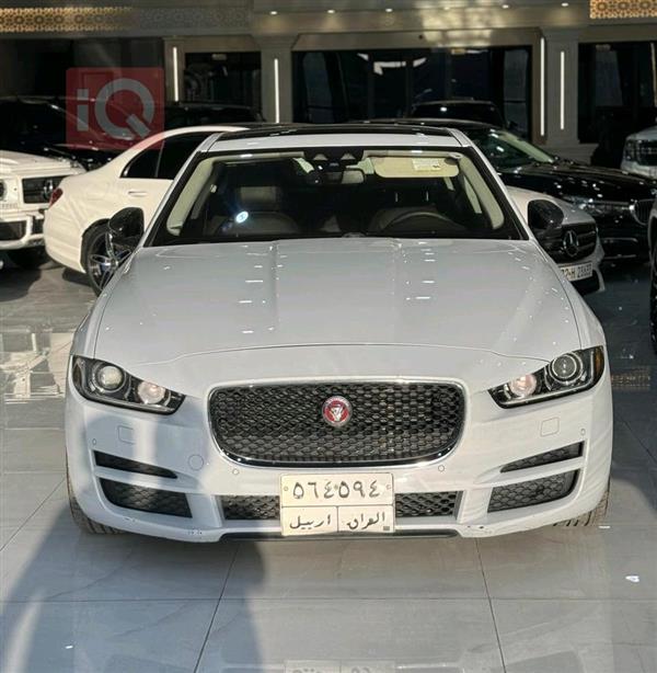 Jaguar for sale in Iraq